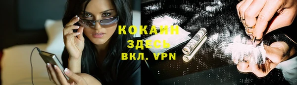 спиды Богданович