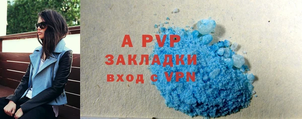 спиды Богданович
